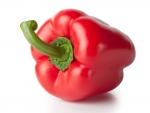 Rote Paprika 1000 g